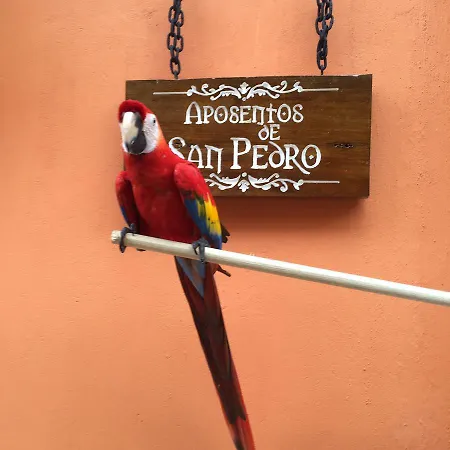 Hotel Aposentos De San Pedro