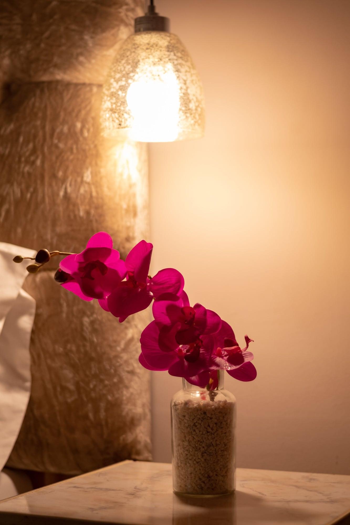 Hotel Aposentos De San Pedro Cartagena