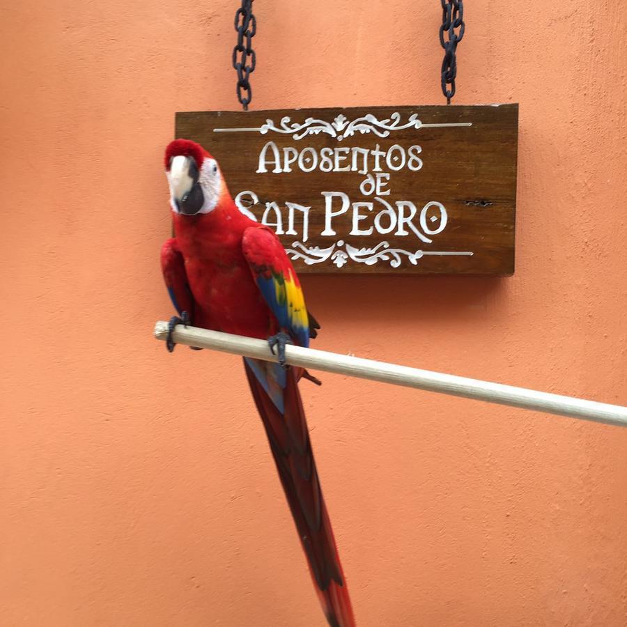 Hotel Aposentos De San Pedro